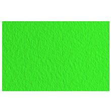 Бумага для пастели "Tiziano", А4, 160 г/м2, зеленый 