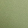 Бумага цветная "Maya", А4, 120г/м2, хаки - 2