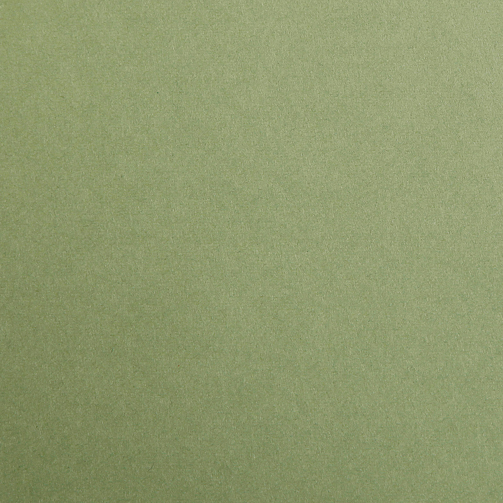Бумага цветная "Maya", А4, 120г/м2, хаки - 2