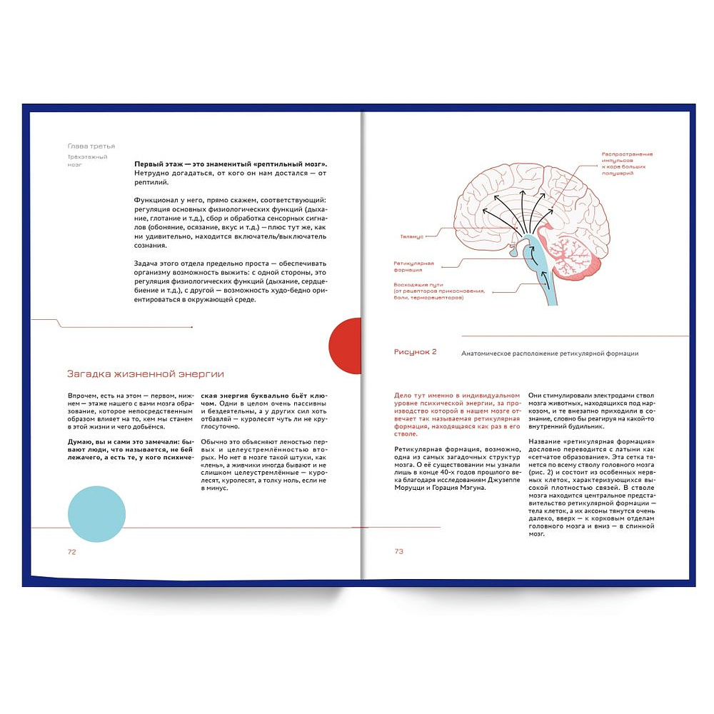 Книга "Мозг и бизнес. Инструкция по применению", Андрей Курпатов - 5